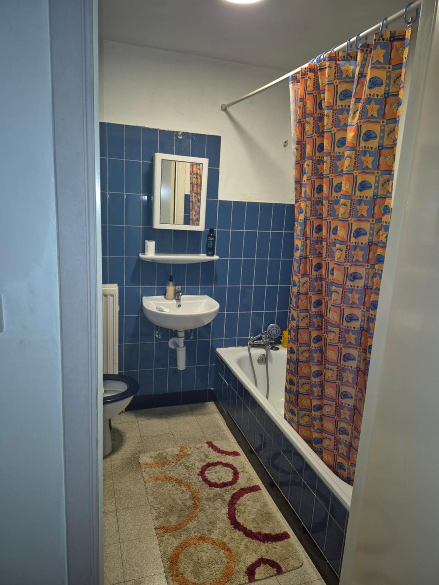 Gent'S Accomodations For Short And Middle Long Stay Exteriér fotografie